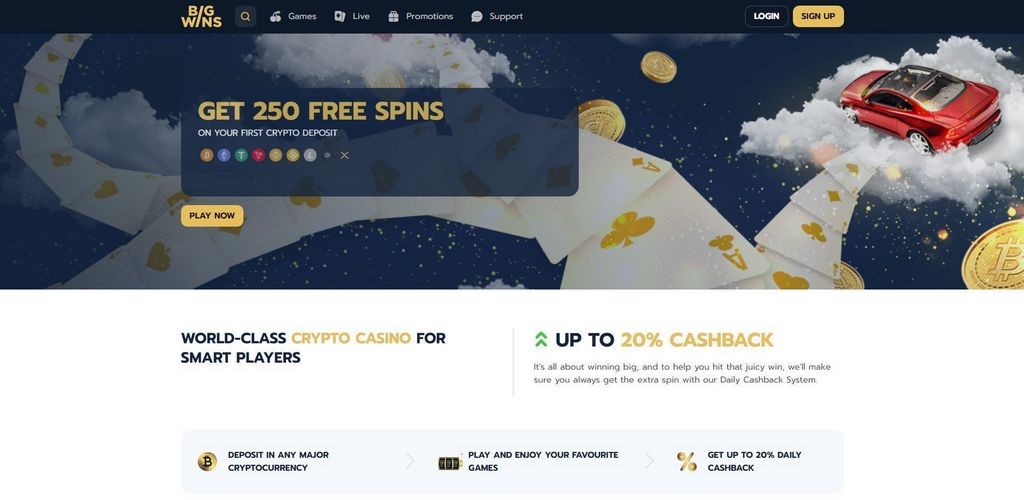 Big Wins Gambling Enterprise 2025